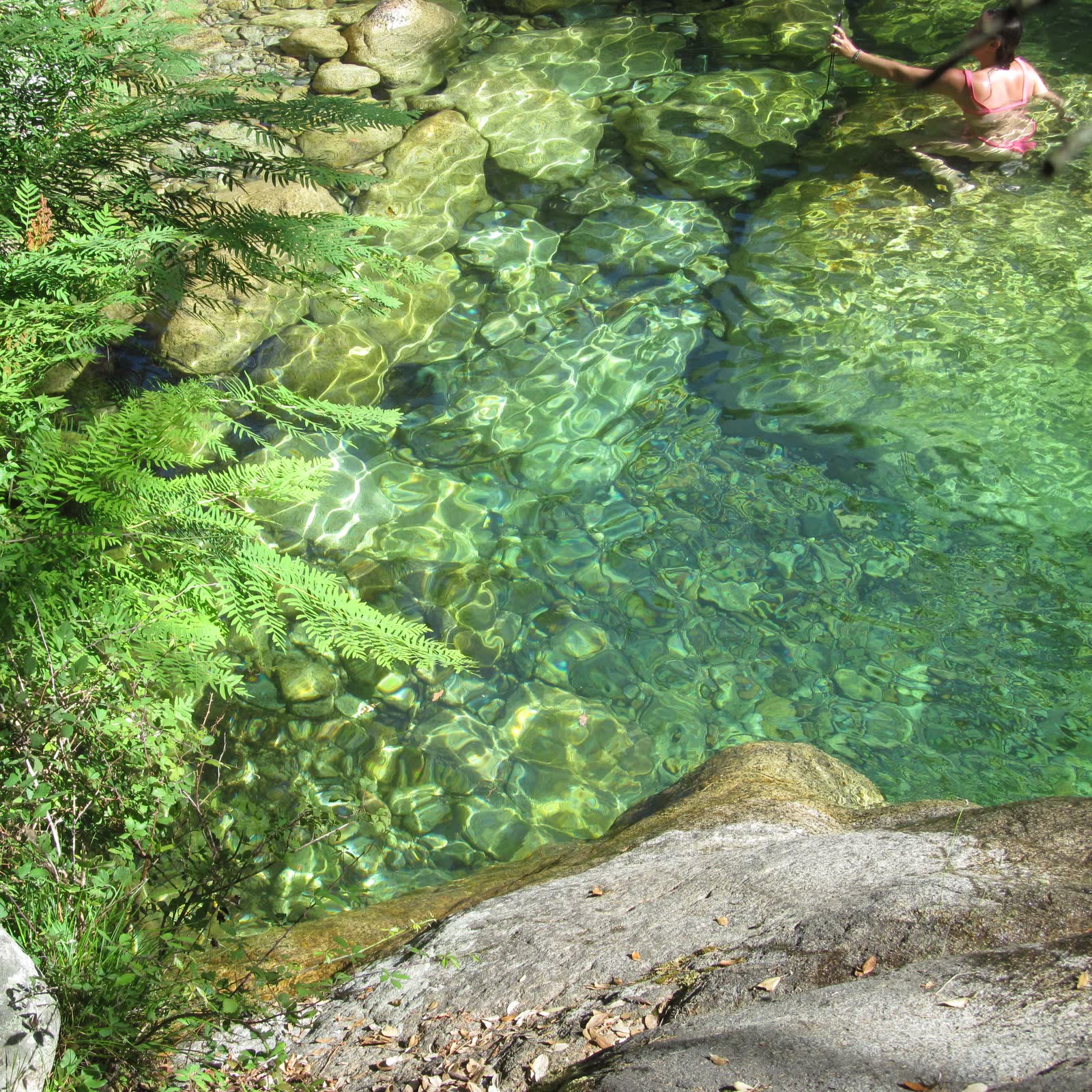 Ferns over a clear green river pool, Corsica