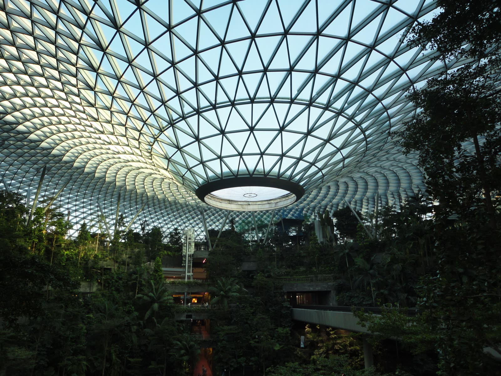 Gridded glass dome ceiling above indoor foliage