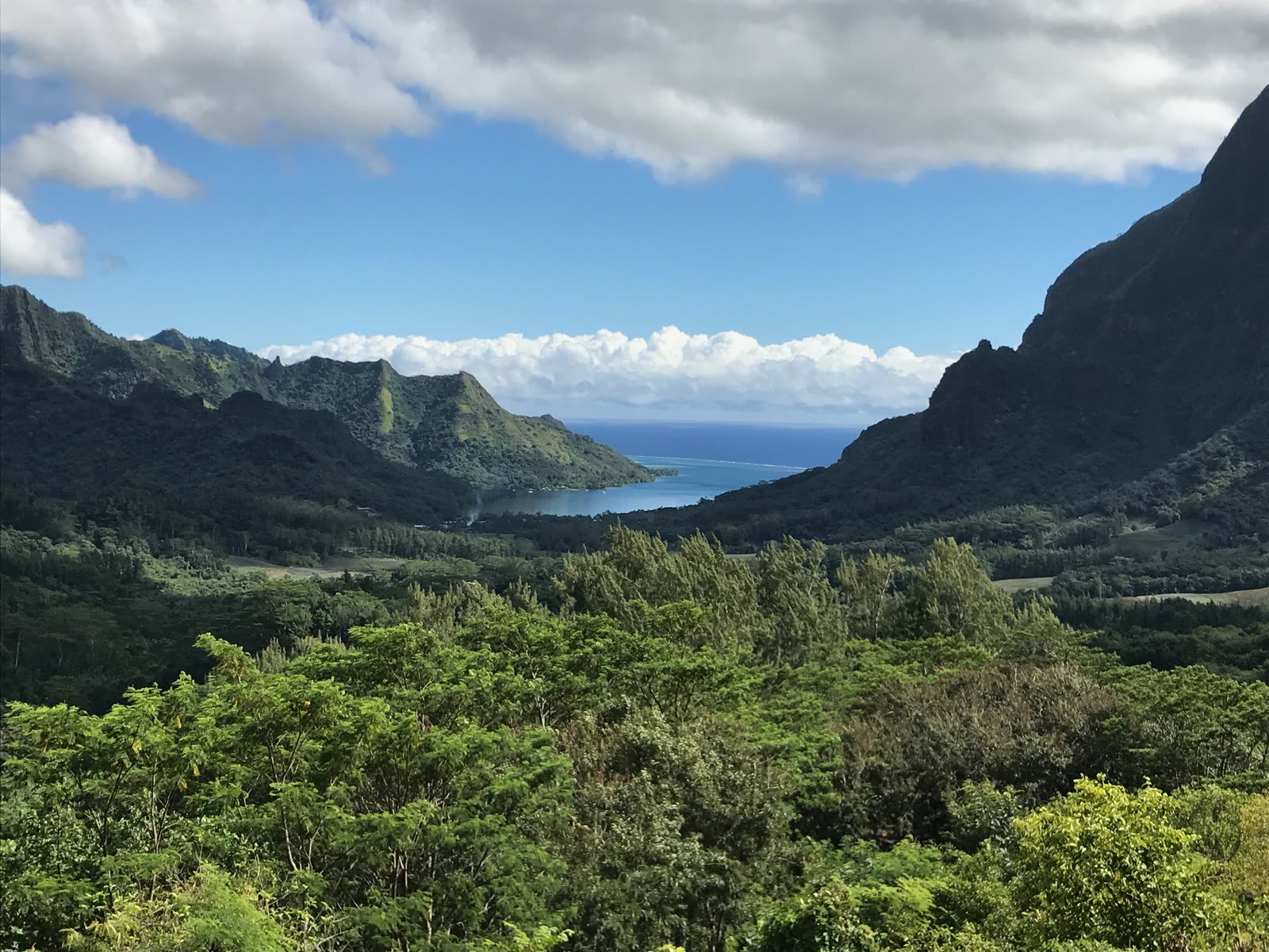 Steep green ridges dropping toward a bay