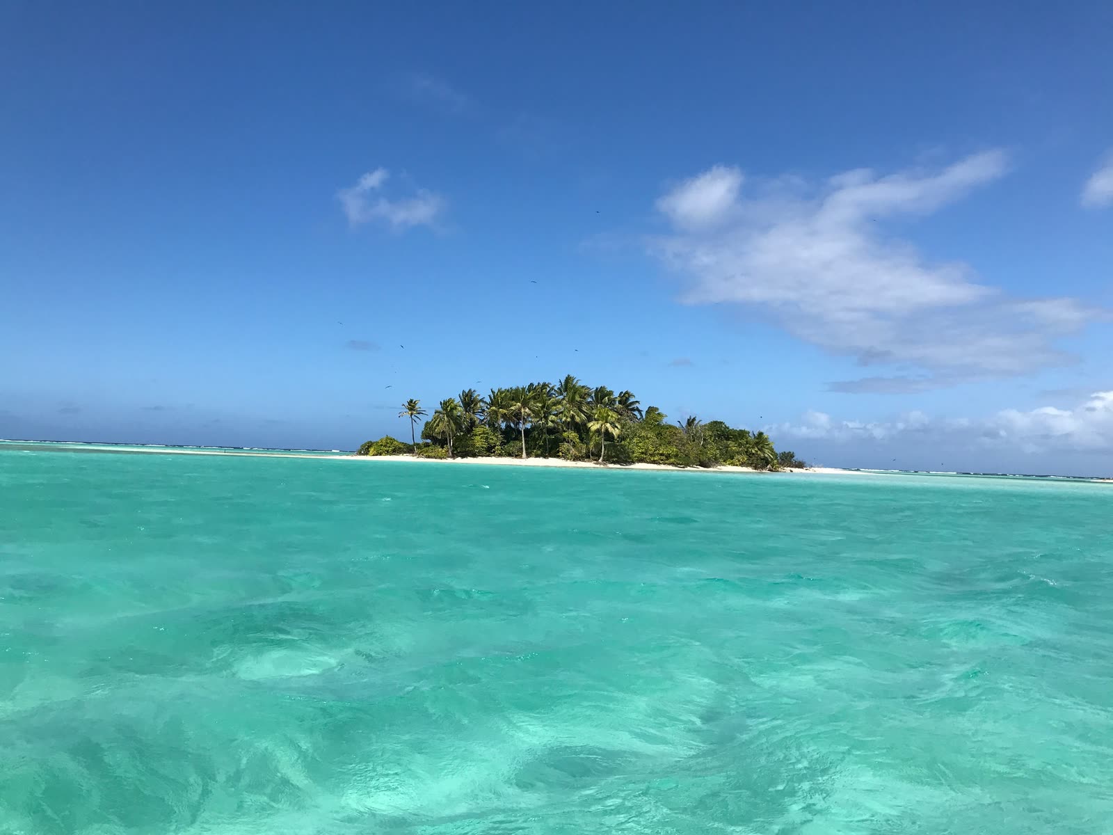 Small palm island across a turquoise lagoon