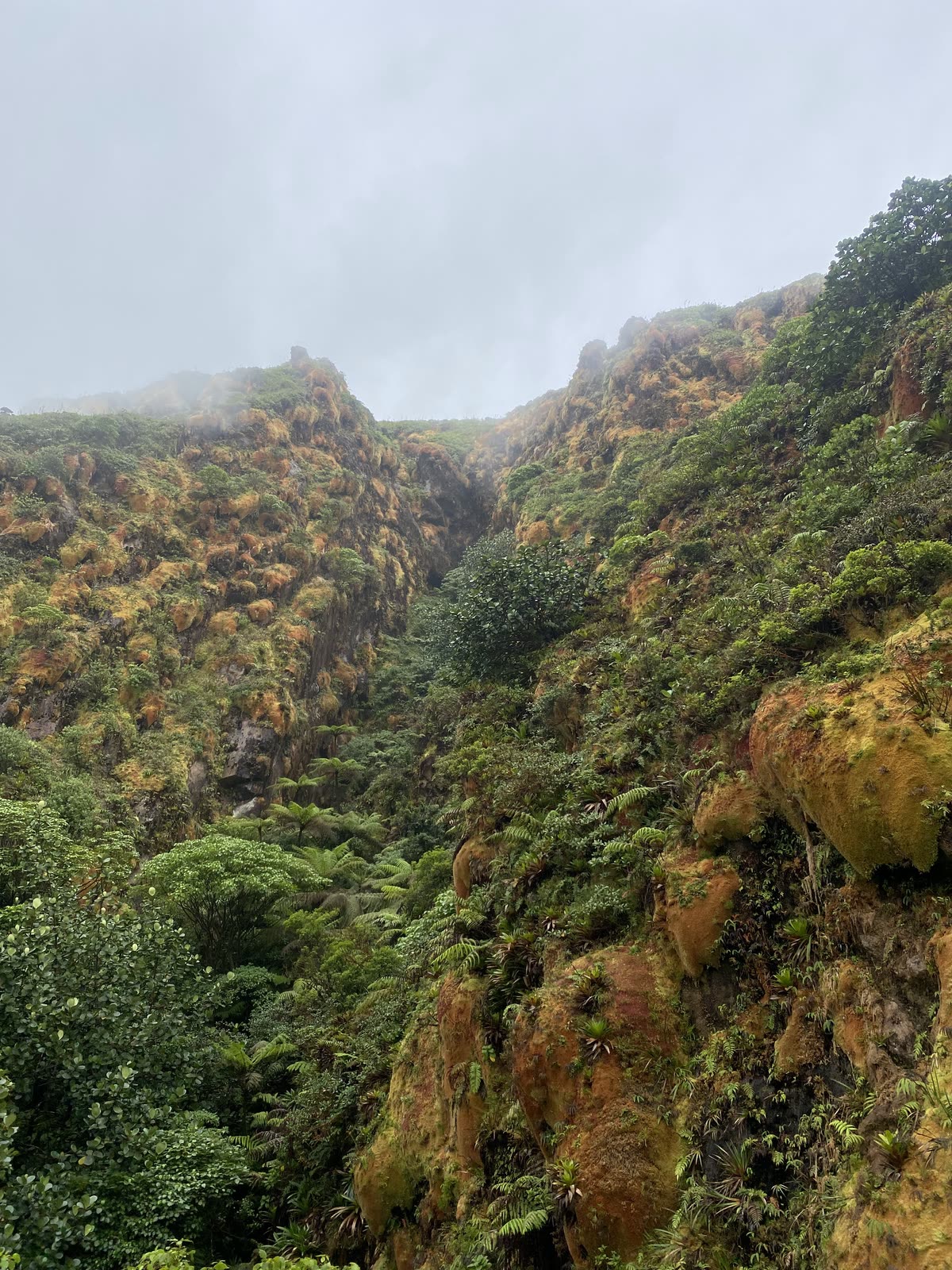 Cloud breaking over a steep green ridge