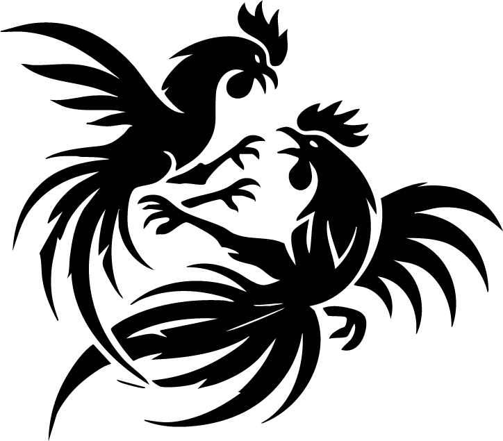 Sports Jersey Designs